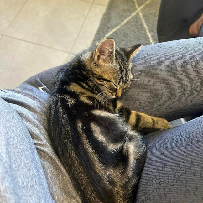 Photo of Hugo