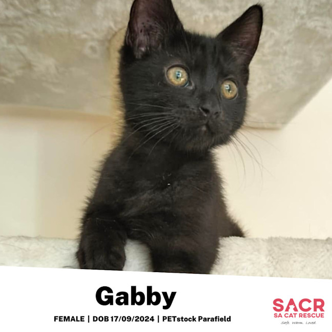 Photo of Gabby