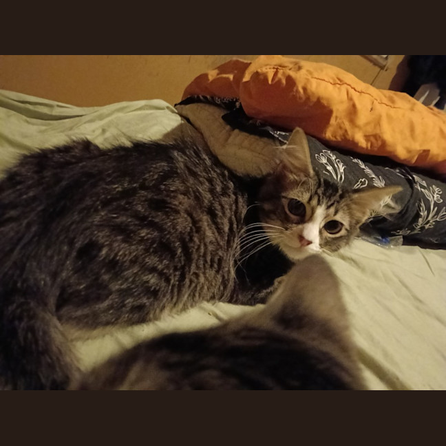Photo of Issabelle❤️