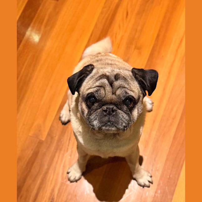 Photo of Jo Jo