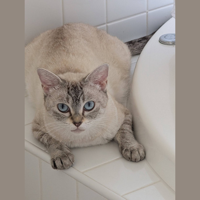 Photo of Maybel