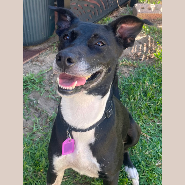 Photo of Lady 