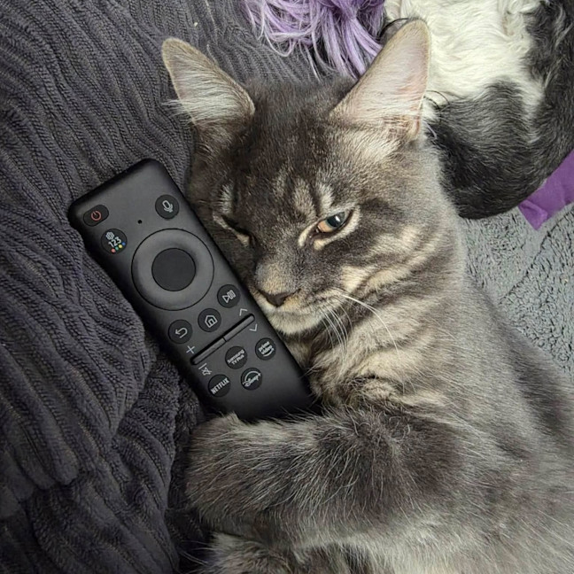 Photo of Lewis Paw Milton