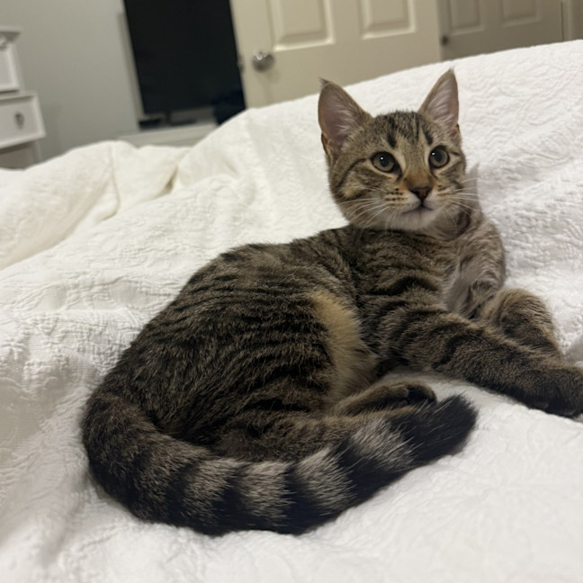 Photo of Boba