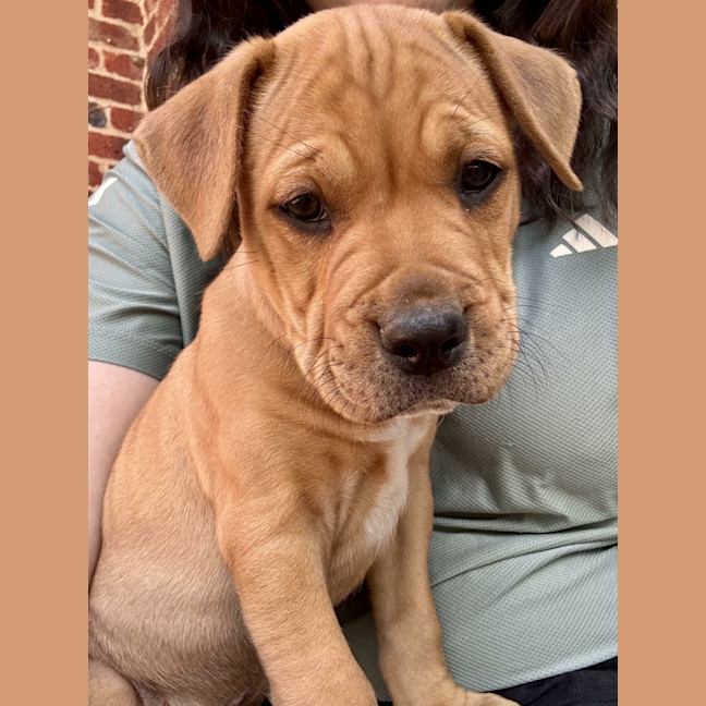 Photo of Murphy