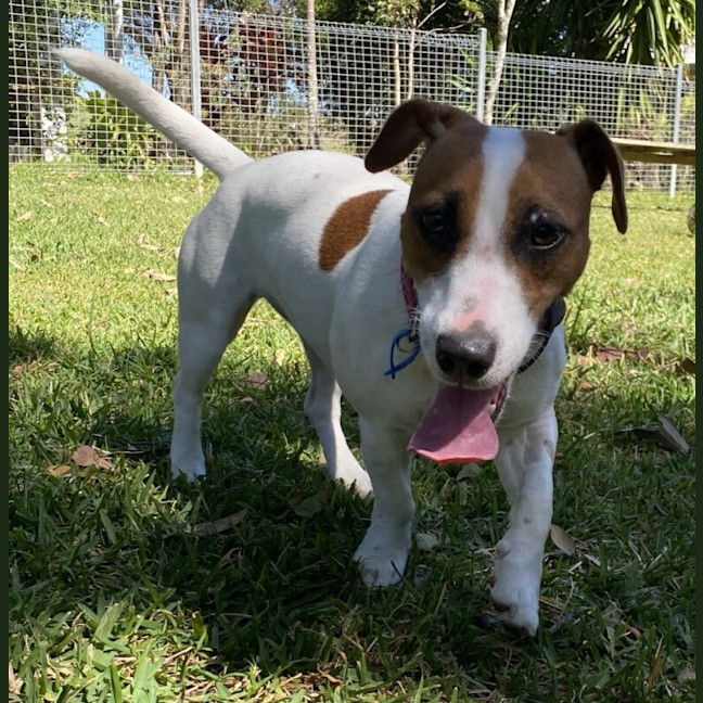 Photo of Spirit