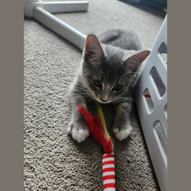 Photo of Marty