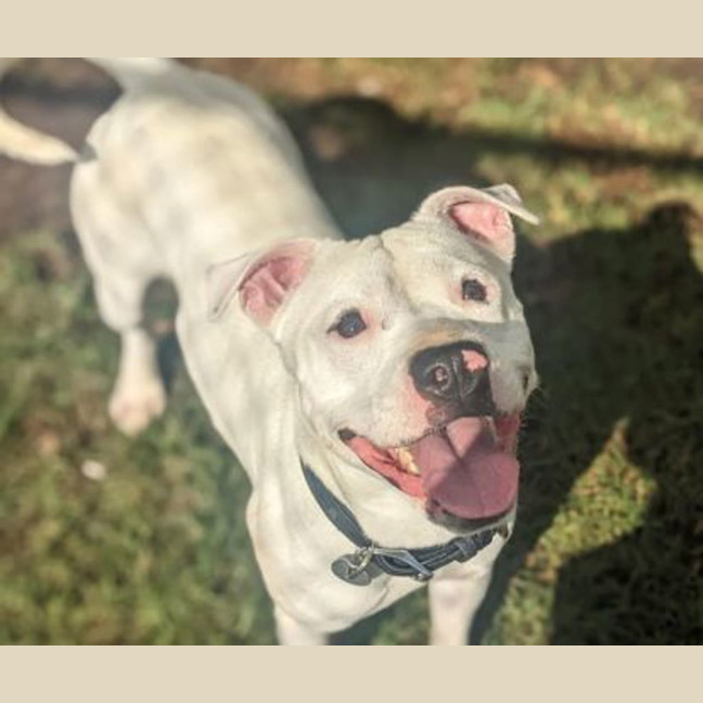 Photo of Ghostie Wostie