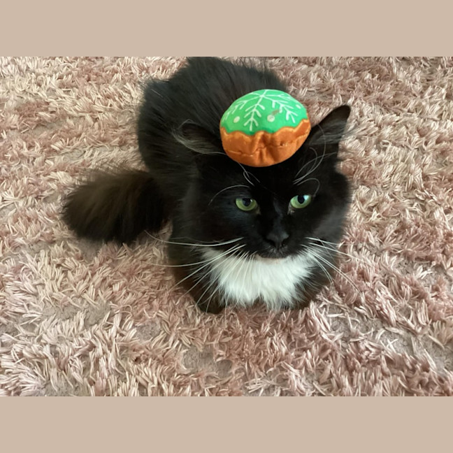 Photo of Mario *9 Lives Project Rescue*