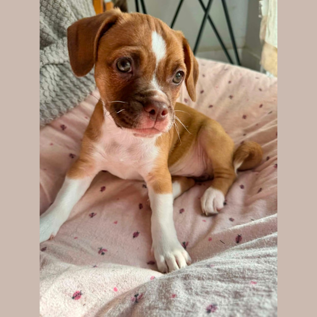 Photo of Kiki