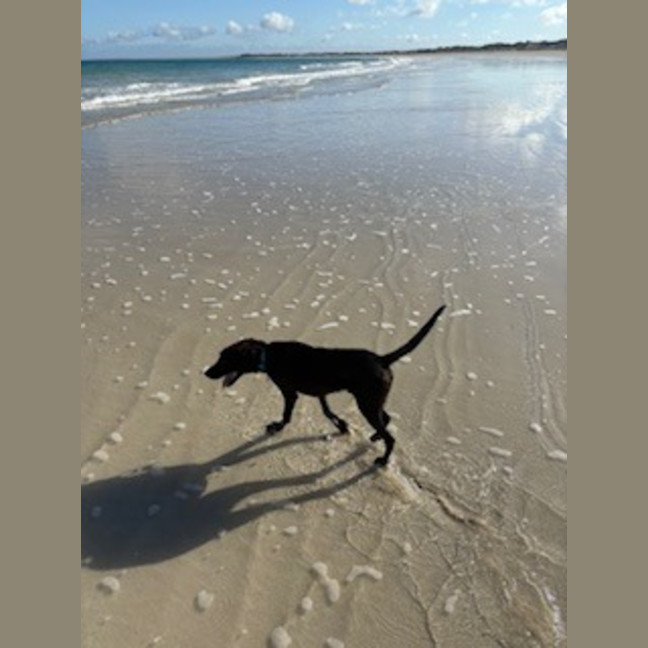 Photo of Rudi