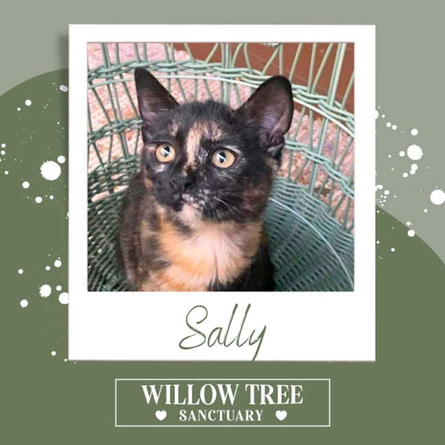 Photo of Sally
