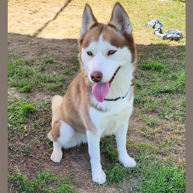 Photo of Hazel
