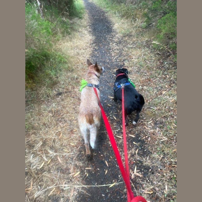 Photo of Nala Jablonksi