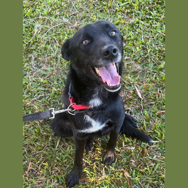 Photo of Loki