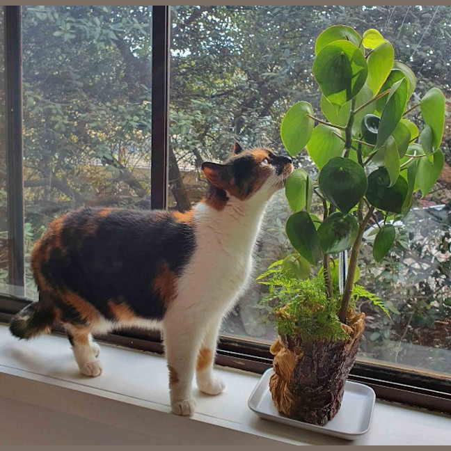 Photo of Queen Mimmi