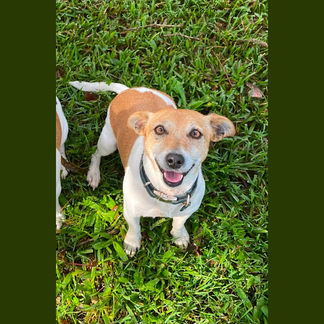 Photo of Arlo