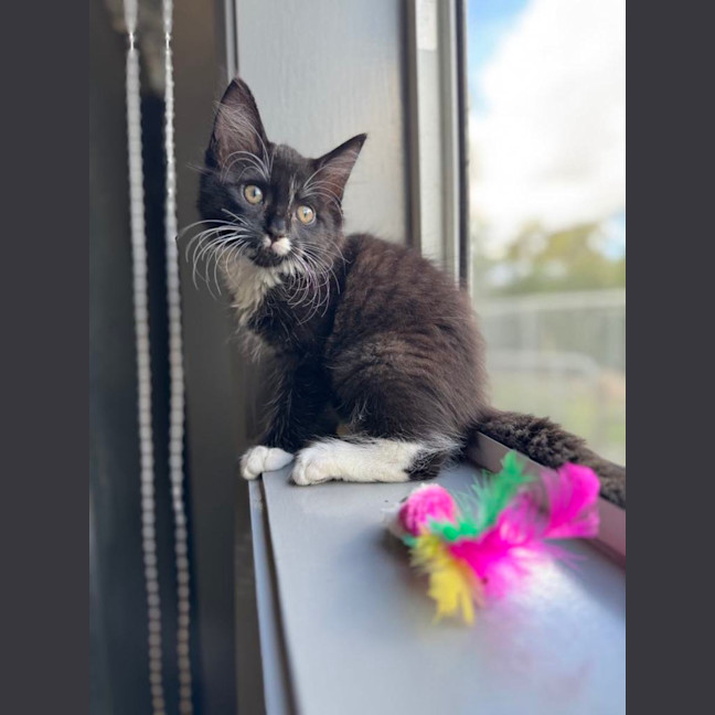 Photo of Lucy