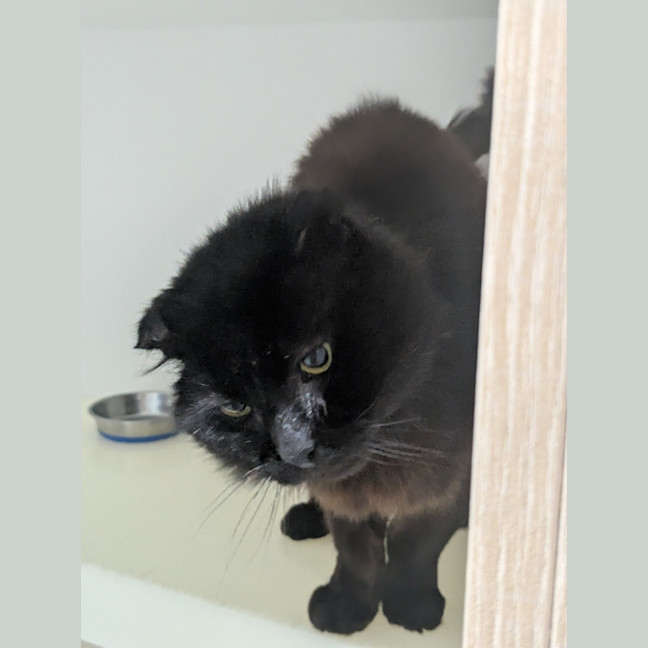 Photo of 🎣 Greg 6702 🎣