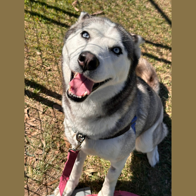 Photo of Freya