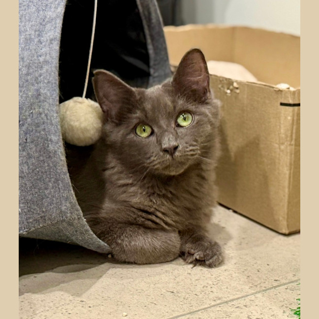 Photo of Mister
