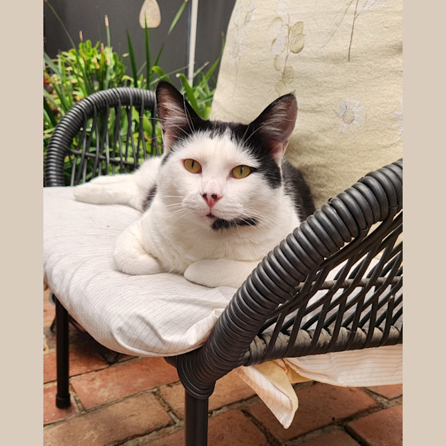 Photo of Bali & Roux