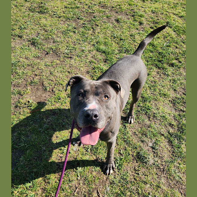 Photo of Bear (66738)