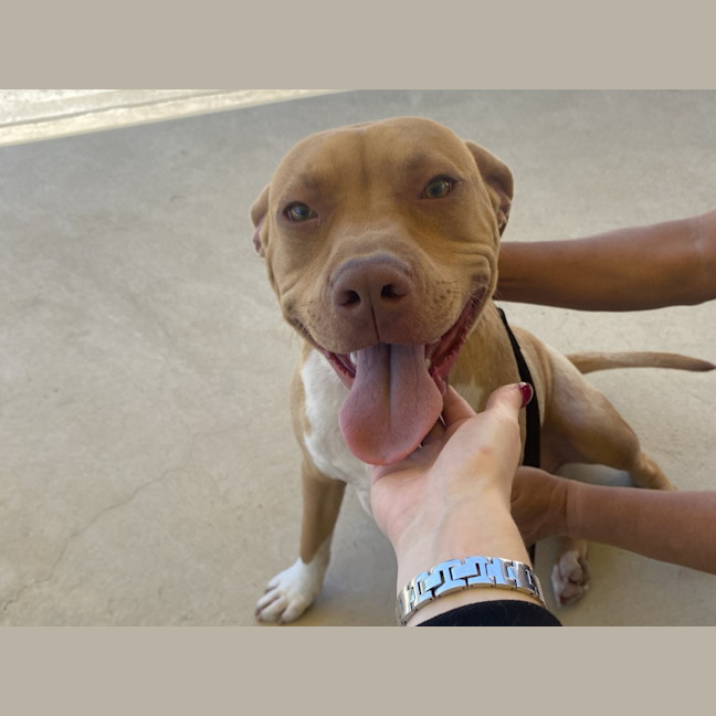 Photo of Fisher Imp 1712