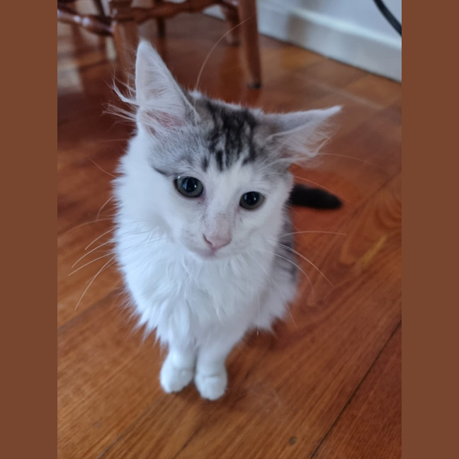 Photo of ❄️❄️blizzard❄️❄️