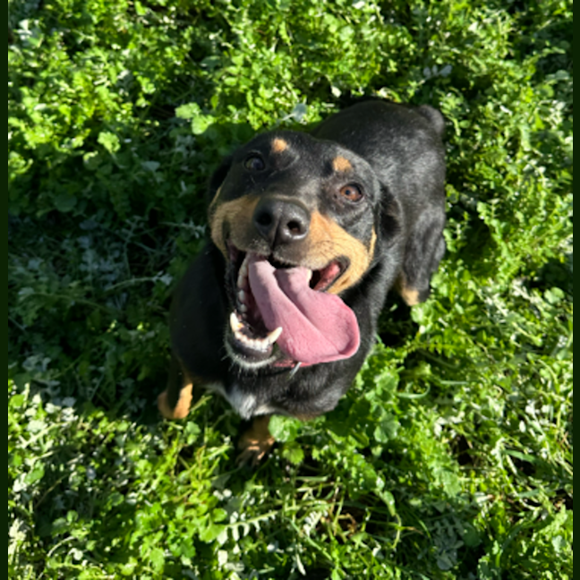 Photo of Lexi