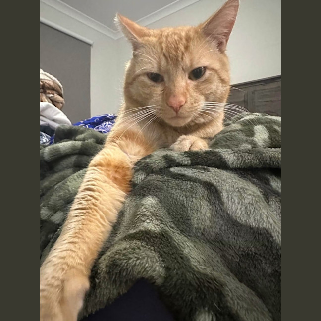 Photo of Piro