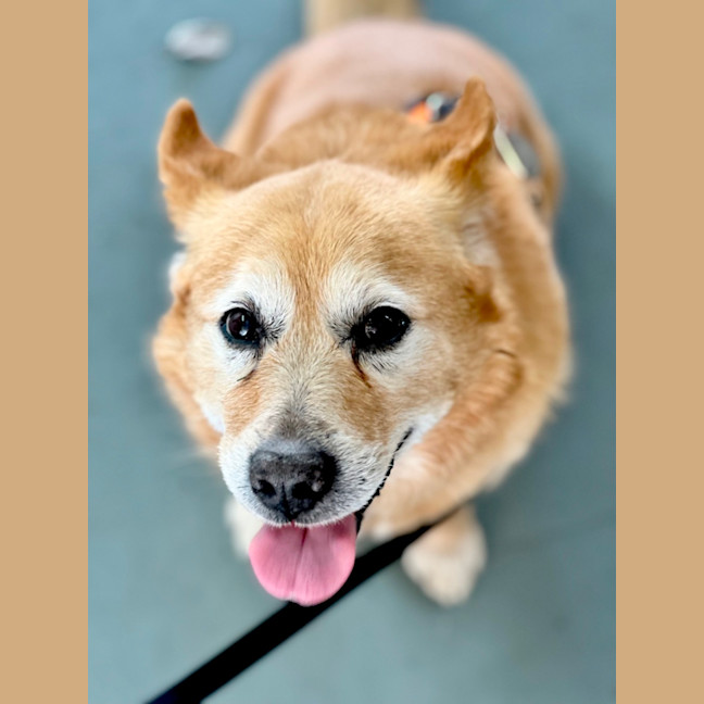 Photo of Max
