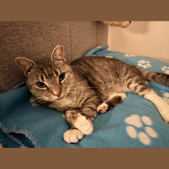 Photo of Thunda