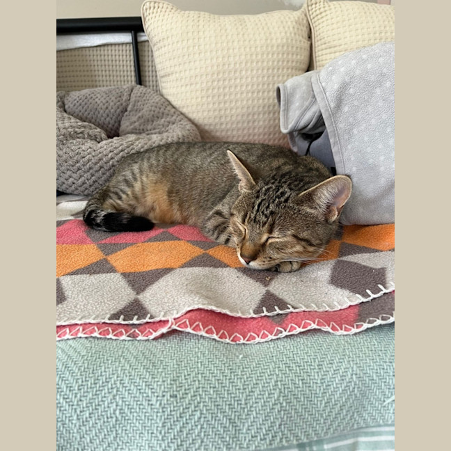 Photo of Chloe