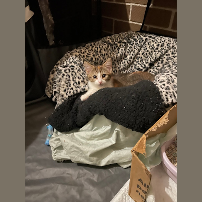 Photo of Lucyloo