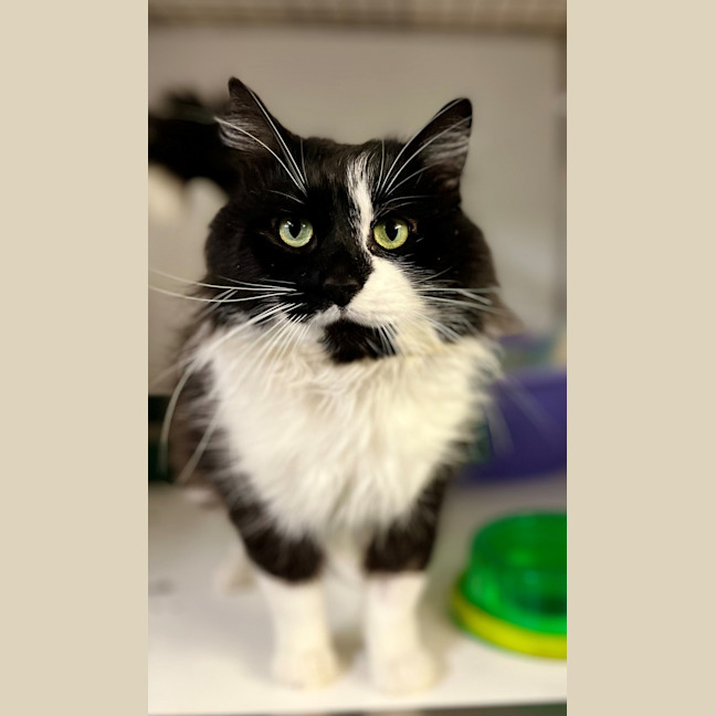 Photo of Bruce