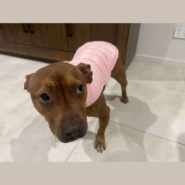 Photo of Lulu