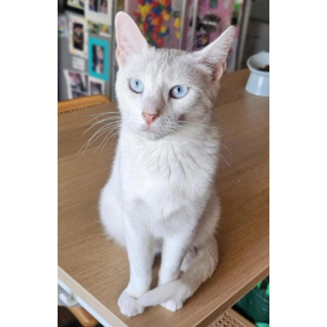 Photo of 12744   Billie Eillish