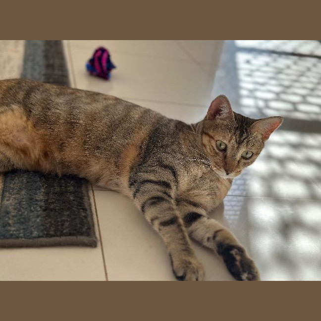 Photo of Matilda