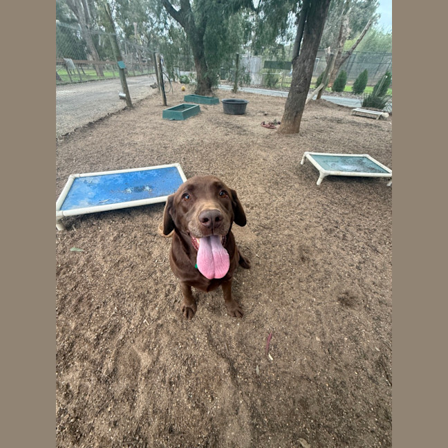 Photo of Dora