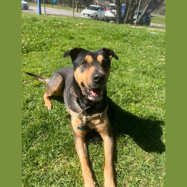 Photo of Tex 