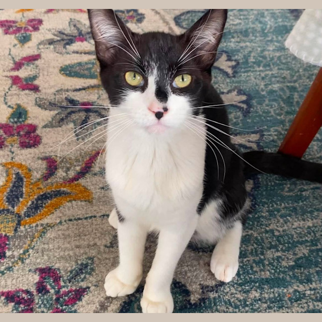 Photo of Betty