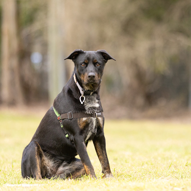 Photo of Freya