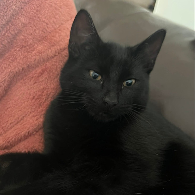 Photo of Sassy
