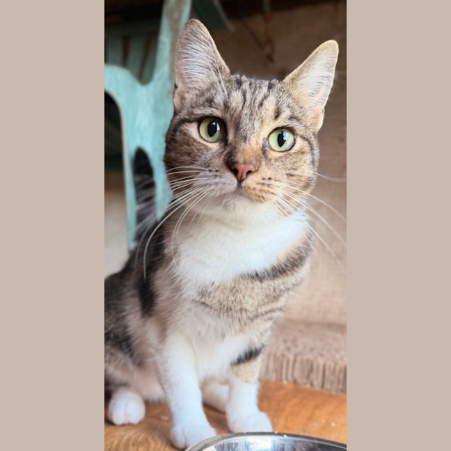 Photo of Abby