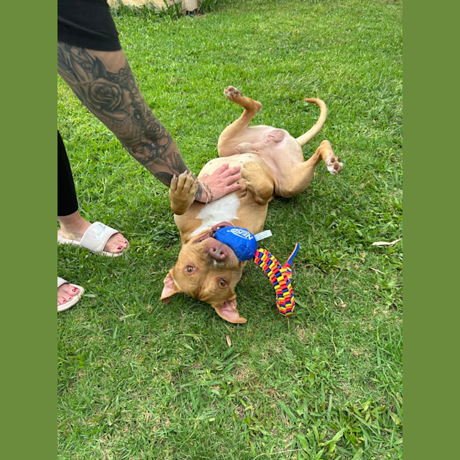 Photo of Whisky