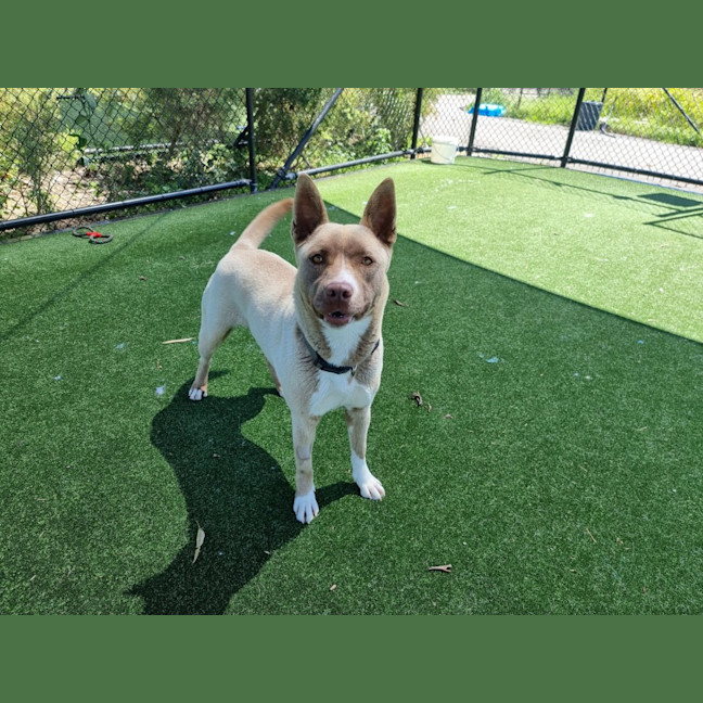 Photo of Arwen Imp 2188