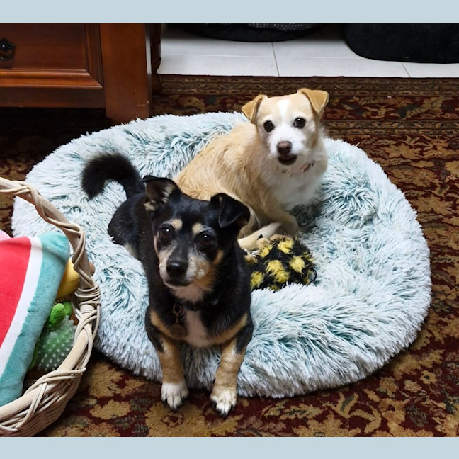 Photo of Paddy And Bonnie