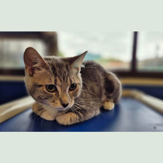Photo of Meredith