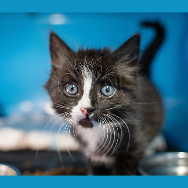 Photo of Stormy